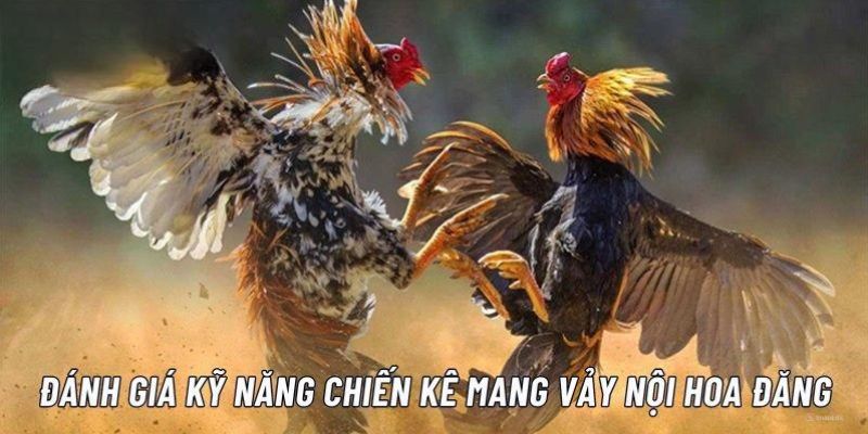 Chỉ dẫn cách chọn linh kê mang vảy nội hoa đăng 2024