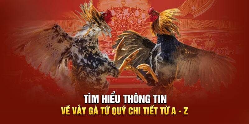 Giới thiệu về vảy gà tứ quý trên thị trường